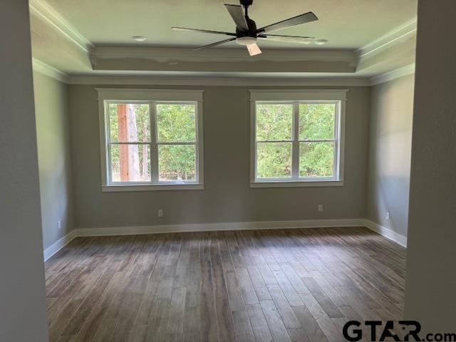 14533 Woodland Creek Dr, Tyler, TX 75706 - spare room featuring a tray ceiling, ornamental molding, healthy amount of natural light, and wood-type flooring