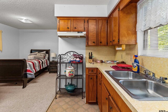 552 W State Highway 7, Crockett, TX 75835 - kitchen featuring a sink, under cabinet range hood, brown cabinetry, light countertops, and a textured ceiling