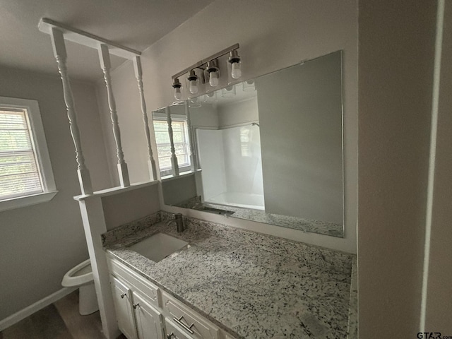 bathroom featuring toilet, hardwood / wood-style flooring, and vanity