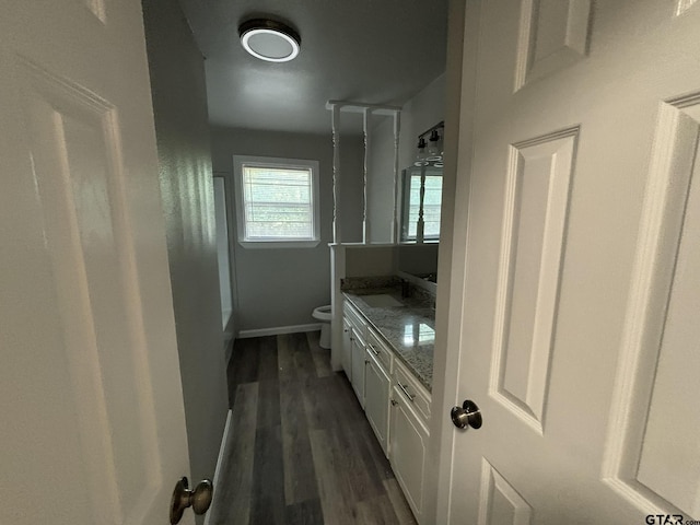 bathroom with wood-type flooring, toilet, and vanity