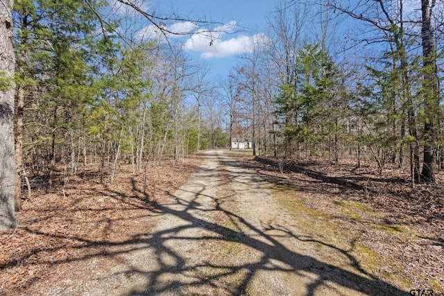 view of street with driveway