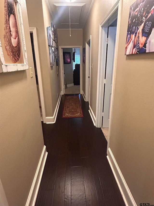 corridor featuring hardwood / wood-style flooring and crown molding