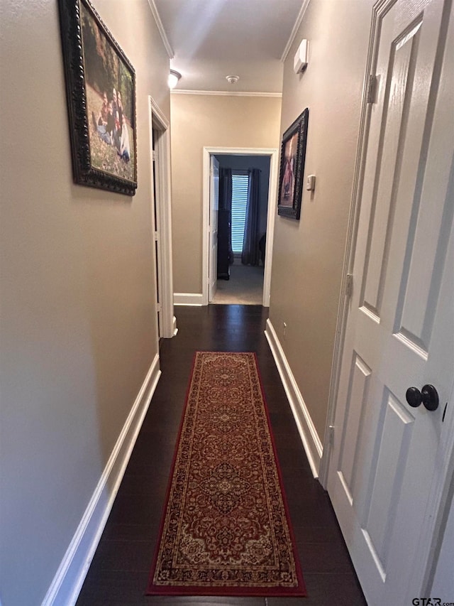 corridor with ornamental molding and dark hardwood / wood-style floors