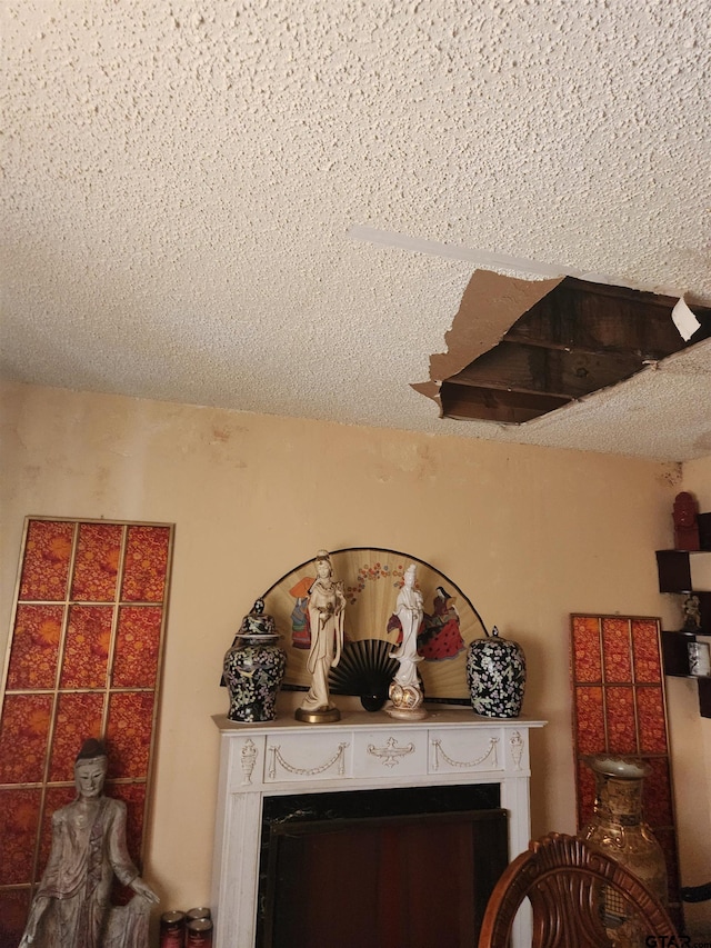 interior details with a textured ceiling
