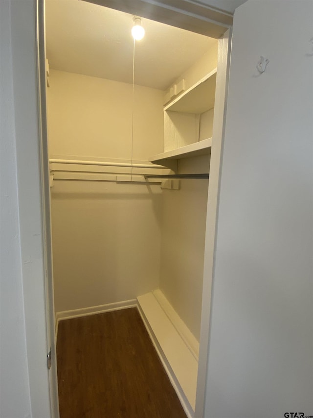 spacious closet with dark hardwood / wood-style floors