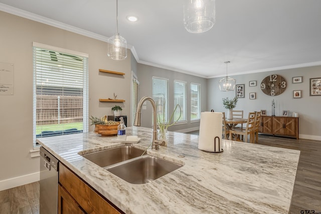 kitchen with ornamental molding, dark wood-type flooring, a sink, and dishwasher