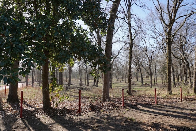 6385 Wagon Tree Trl, Athens, TX 75751 - view of landscape