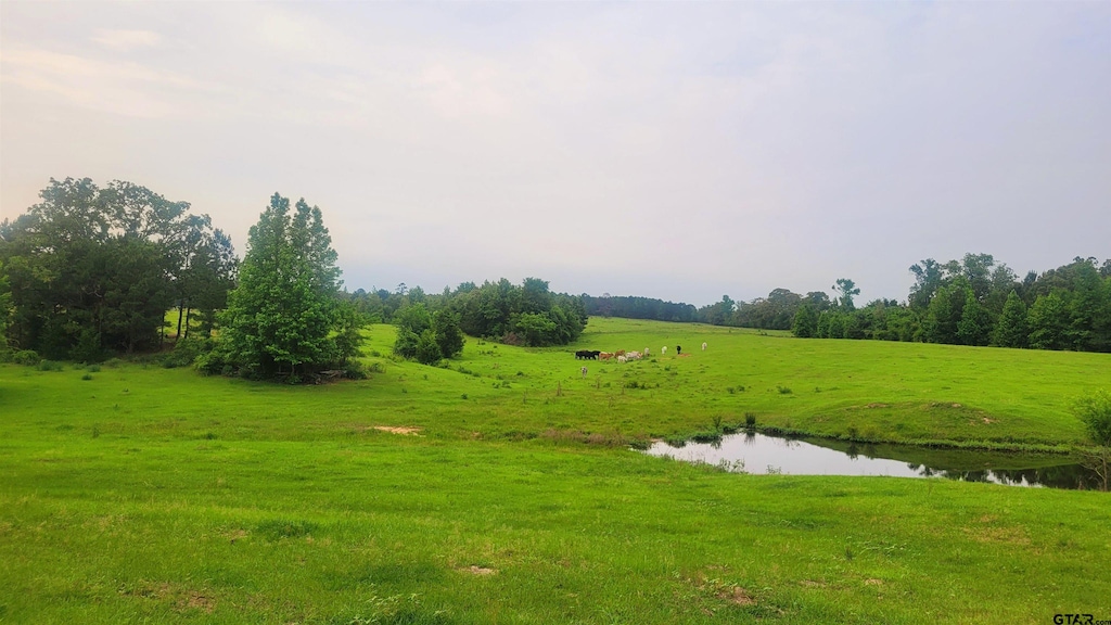12299 W County Line Rd, Troup, TX 75789 - photo 2