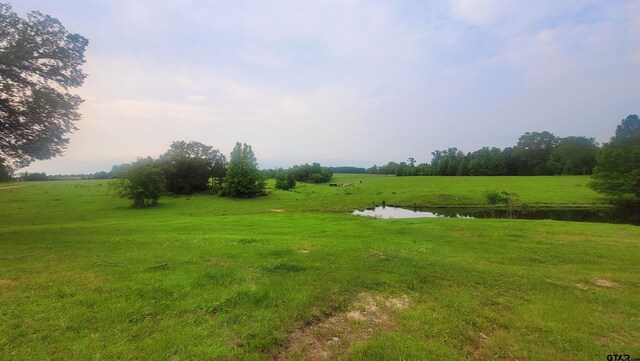 12299 W County Line Rd, Troup, TX 75789 - photo 4