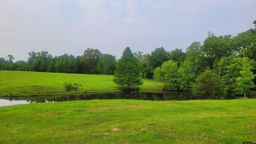 12299 W County Line Rd, Troup, TX 75789 - photo 1