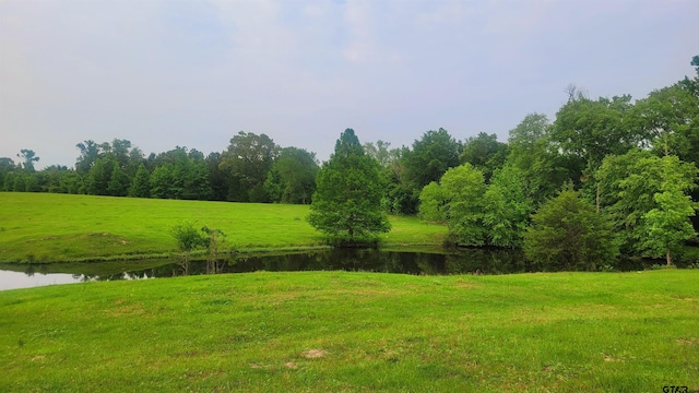 12299 W County Line Rd, Troup, TX 75789 - photo 1