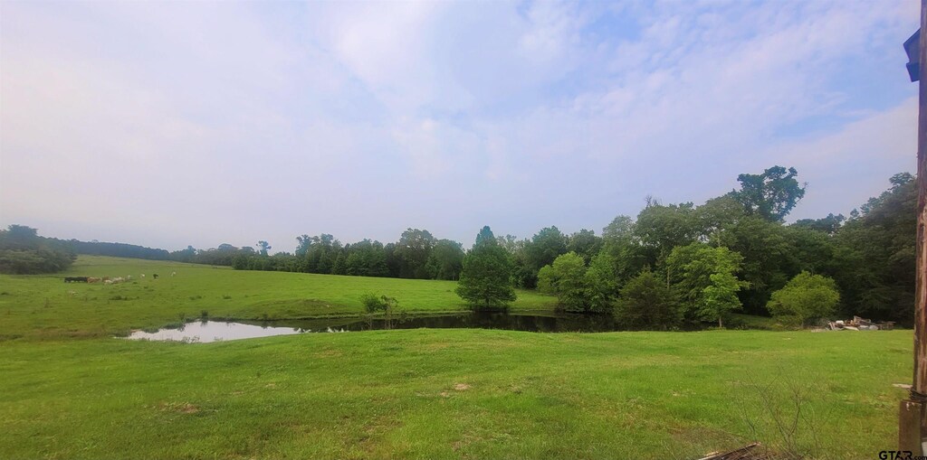 12299 W County Line Rd, Troup, TX 75789 - photo 3
