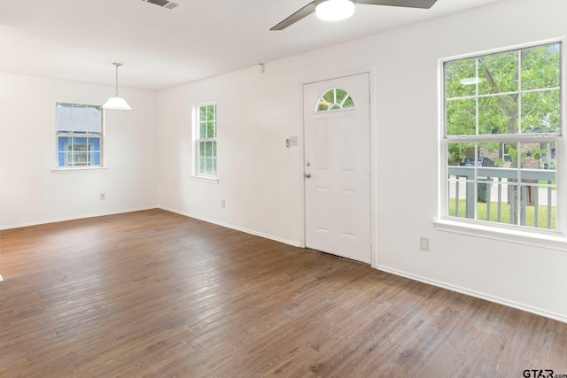 foyer entrance featuring dark wood-type flooring, ceiling fan, and a wealth of natural light