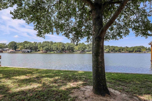 306 Lake Dr, Mount Vernon, TX 75457 - water view