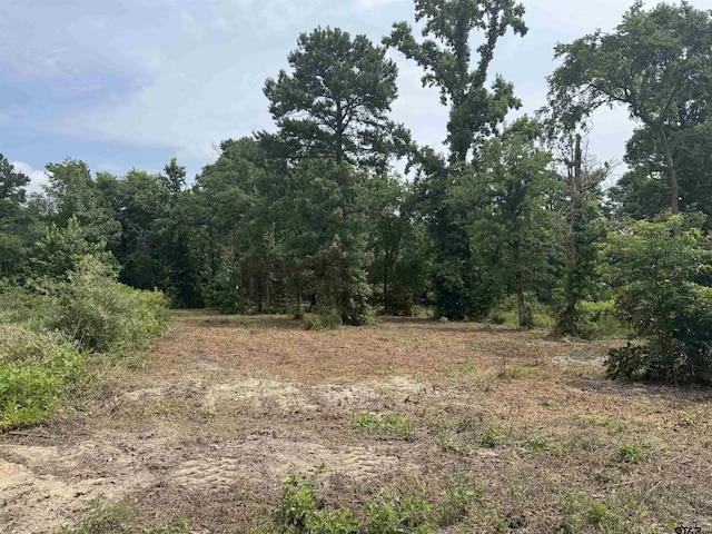 3162 Shadow Pine Dr, Larue, TX 75770