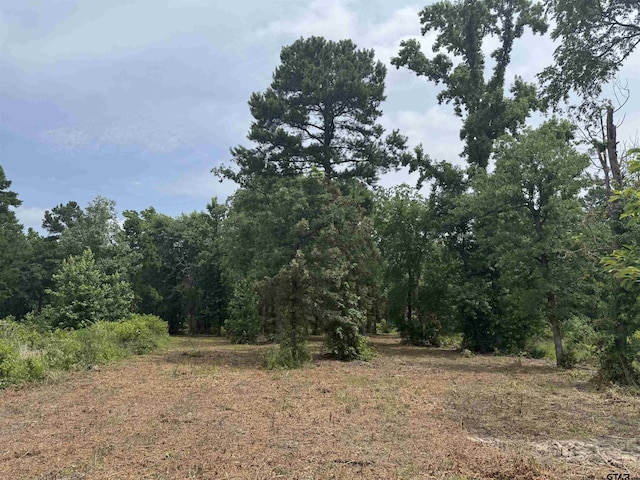 3162 Shadow Pine Dr, Larue, TX 75770