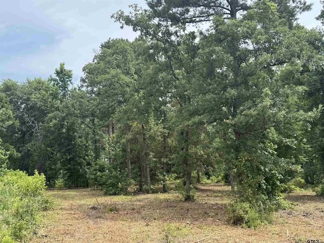 3162 Shadow Pine Dr, Larue, TX 75770