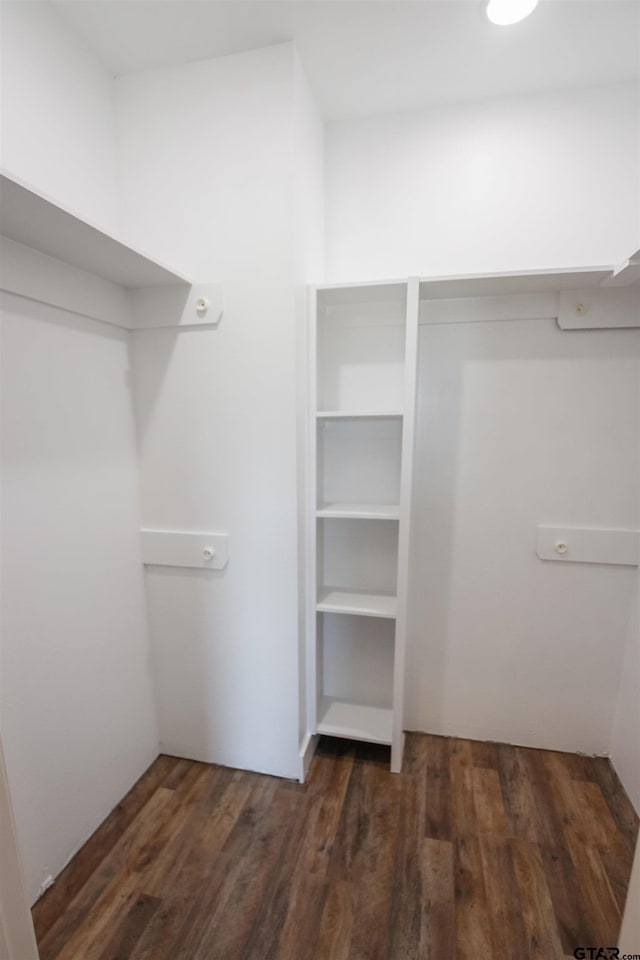 walk in closet featuring wood finished floors