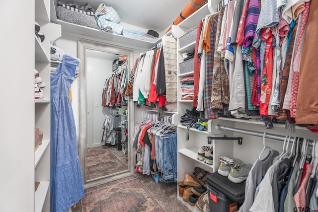 15365 Spring Oaks Dr, Lindale, TX 75771 - spacious closet with carpet floors
