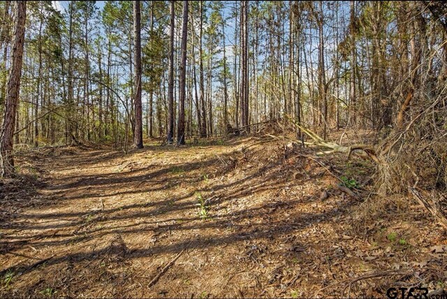 TBD(3.4acres) Fm 2015, Tyler, TX 75708