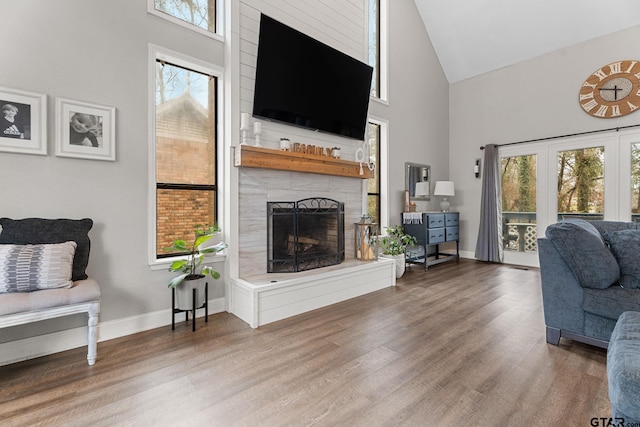 living room with wood-type flooring and high vaulted ceiling