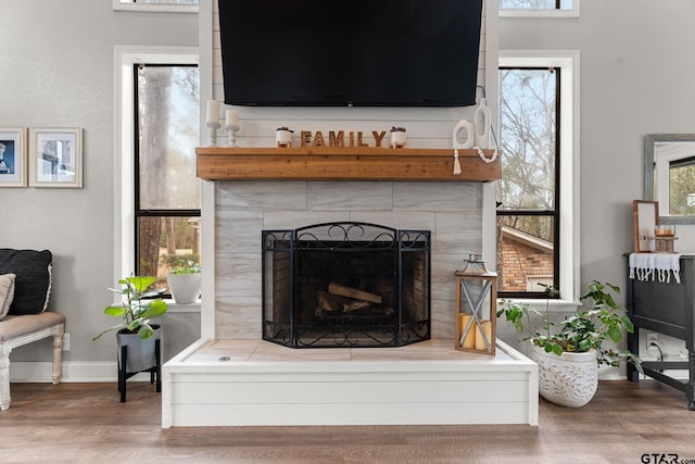 interior details featuring a fireplace and wood-type flooring