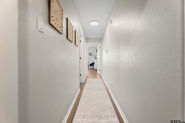 hall featuring wood-type flooring