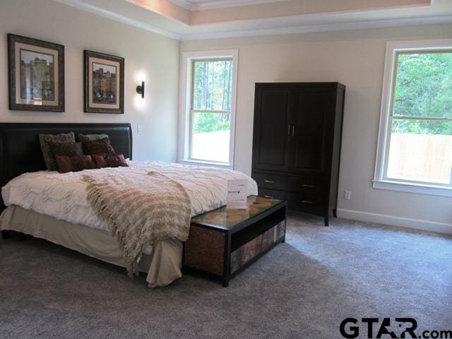 bedroom with ornamental molding, carpet flooring, multiple windows, and a raised ceiling