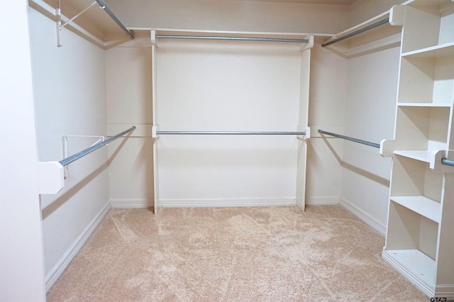 spacious closet with light carpet