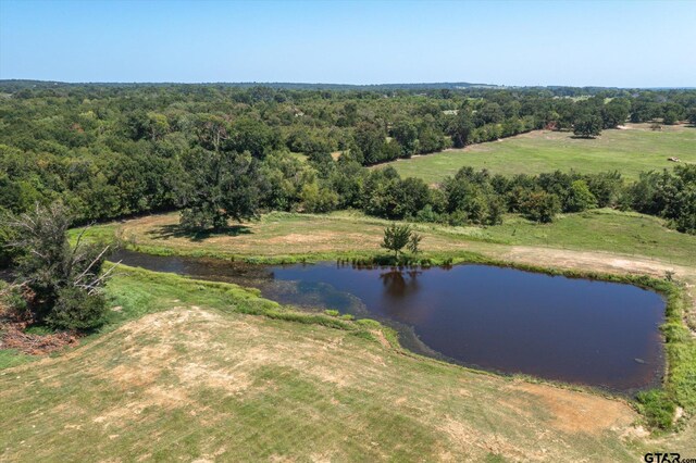 000 Vz County Road 2511, Canton, TX 75103 - photo 22