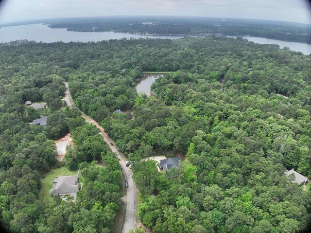 15354 Lakeside Dr, Tyler, TX 75707