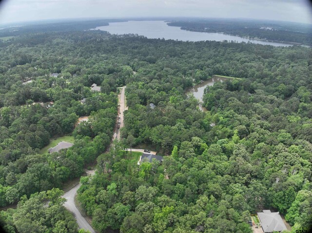 15354 Lakeside Dr, Tyler, TX 75707