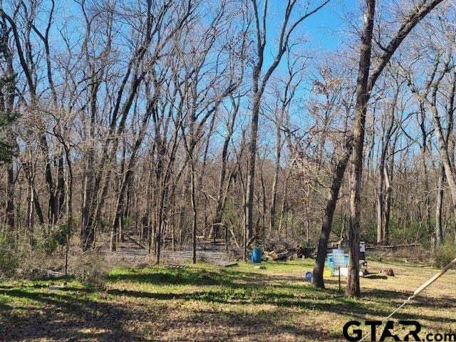 686 Eastshore Dr, Wills Point, TX 75169 - photo 1