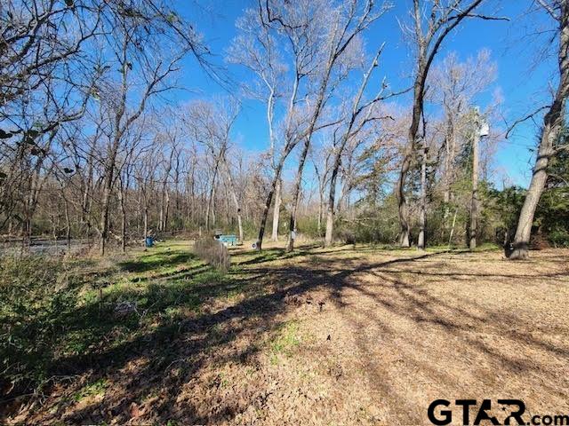 686 Eastshore Dr, Wills Point, TX 75169 - photo 5