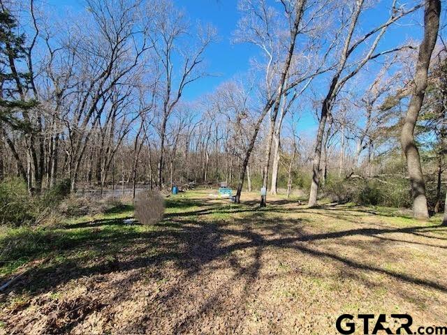 686 Eastshore Dr, Wills Point, TX 75169 - photo 3