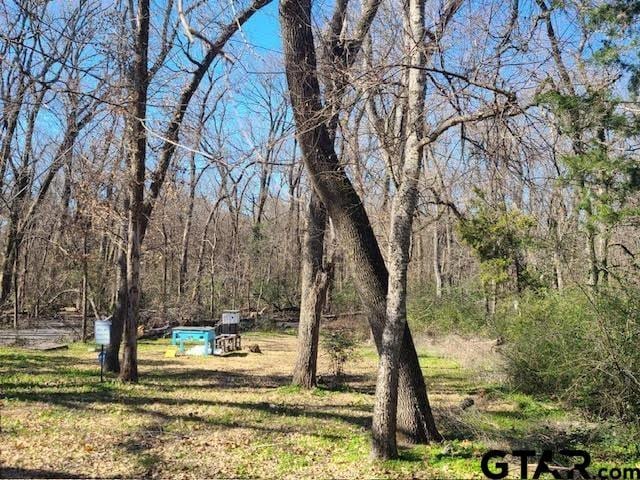 686 Eastshore Dr, Wills Point, TX 75169 - photo 4
