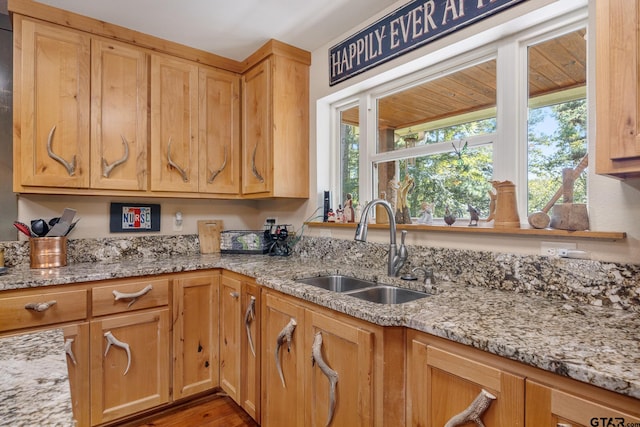 kitchen featuring hardwood / wood-style floors, light stone countertops, and sink