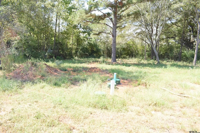 155 Ruby Ln, Nacogdoches, TX 75965 - view of yard