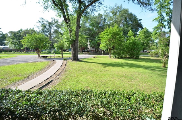 116 Piney Pt, Murchison, TX 75778 - view of community featuring a lawn