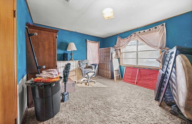 bedroom featuring carpet floors