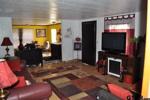 living room with dark hardwood / wood-style floors