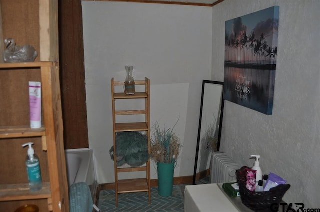 sitting room featuring radiator heating unit