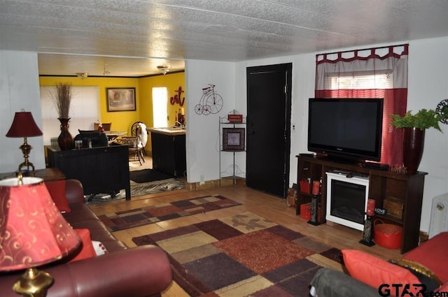 living room featuring dark wood-type flooring