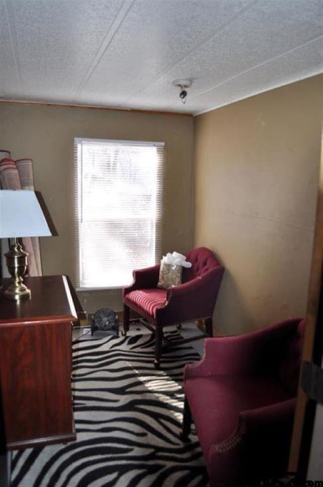 sitting room with carpet flooring and a textured ceiling