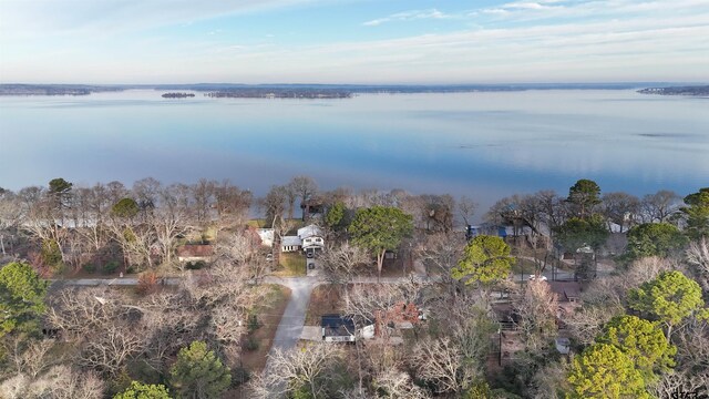 20855 Bay Shore Dr, Flint, TX 75762 - aerial view of property and surrounding area with a large body of water