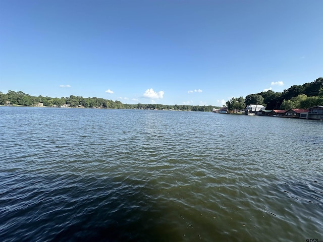 2538 Byrd Rd, Jacksonville, TX 75766 - photo 24