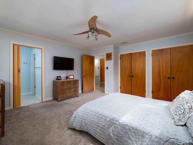 carpeted bedroom with multiple closets, ceiling fan, and crown molding