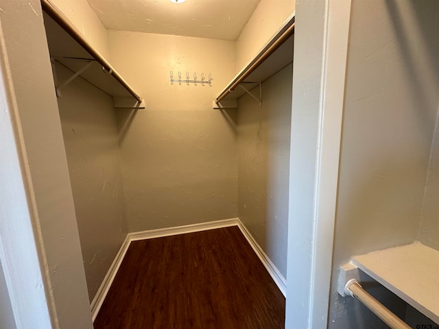 spacious closet with hardwood / wood-style flooring