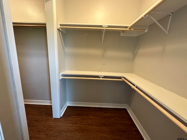 walk in closet with dark wood-type flooring