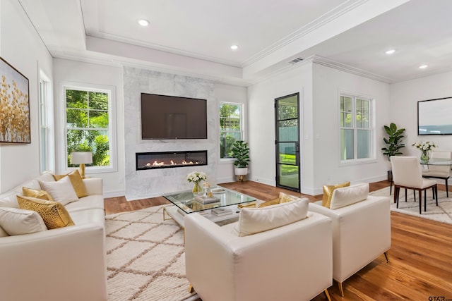 living room with crown molding, a fireplace, and light hardwood / wood-style floors